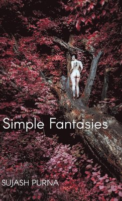 bokomslag Simple Fantasies