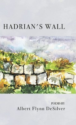 bokomslag Hadrian's Wall