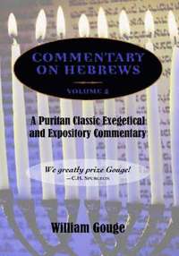 bokomslag Commentary on Hebrews