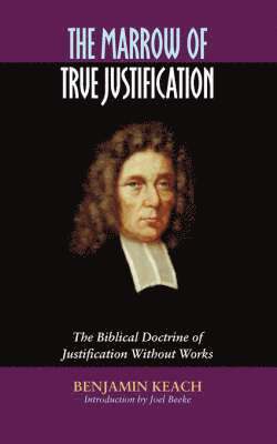 bokomslag Marrow of True Justification