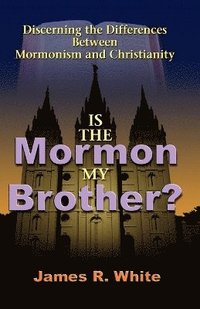 bokomslag Is the Mormon My Brother?