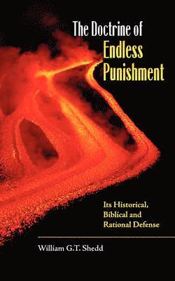bokomslag Doctrine of Endless Punishment