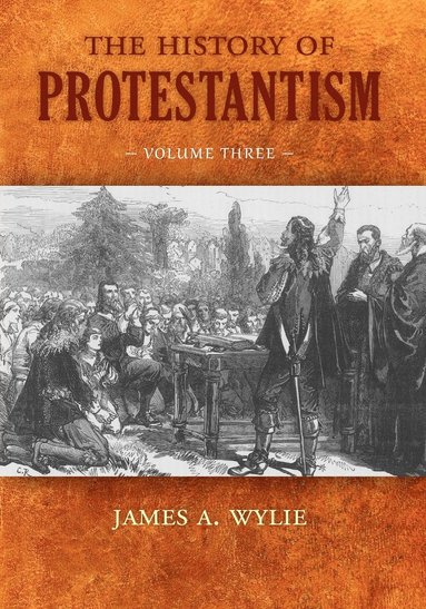 bokomslag The History of Protestantism