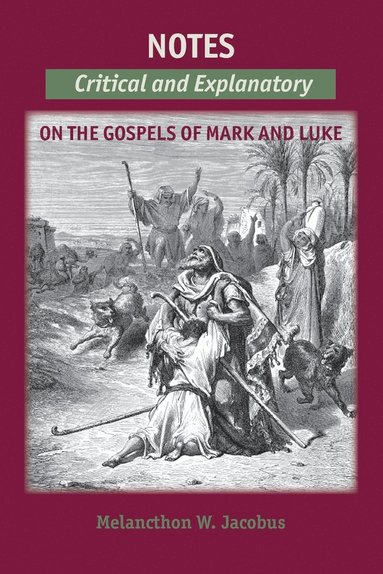 bokomslag Notes on the Gospels