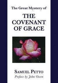 bokomslag The Great Mystery of the Covenant of Grace