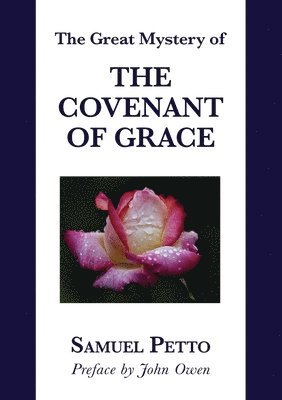 bokomslag Great Mystery of the Covenant of Grace
