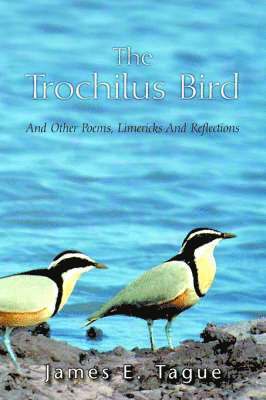 The Trochilus Bird 1