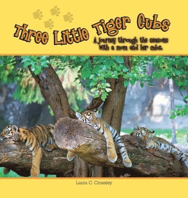 Three Little Tiger Cubs 1