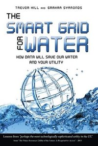 bokomslag The Smart Grid For Water