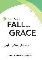bokomslag How to Avoid a Fall from Grace: Legal Lessons for Directors