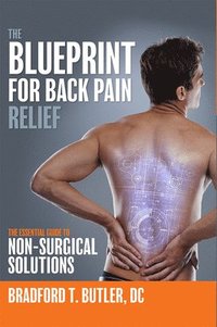 bokomslag The Blueprint For Back Pain Relief