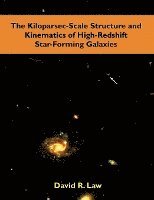 bokomslag The Kiloparsec-Scale Structure and Kinematics of High-Redshift Star-Forming Galaxies