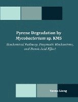 bokomslag Pyrene Degradation by Mycobacterium sp. KMS