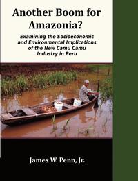 bokomslag Another Boom for Amazonia?