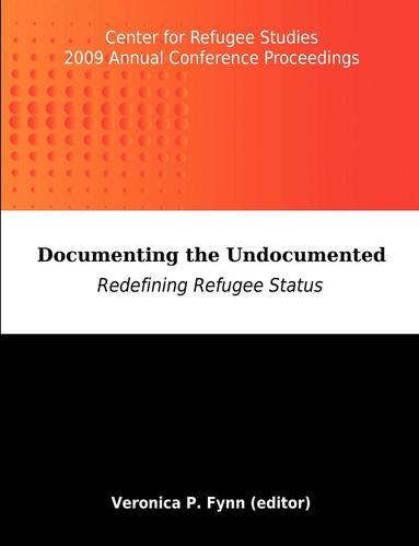 bokomslag Documenting the Undocumented