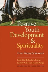bokomslag Positive Youth Development and Spirituality