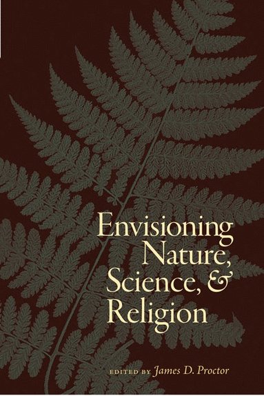 bokomslag Envisioning Nature, Science, and Religion