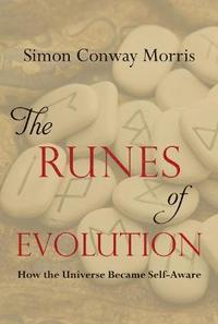bokomslag The Runes of Evolution