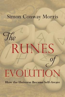 The Runes of Evolution 1