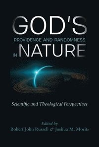 bokomslag God's Providence and Randomness in Nature