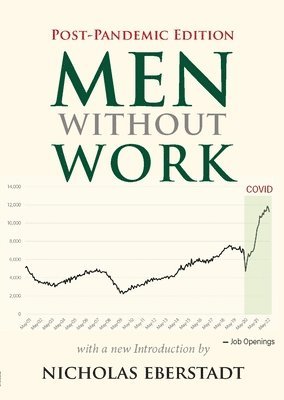 bokomslag Men Without Work
