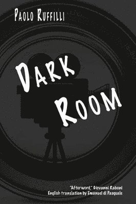 bokomslag Dark Room