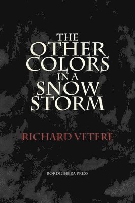 Richard Vetere - Other Colors in a Snow Storm, Häftad