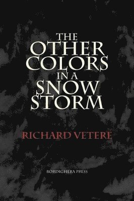 The Other Colors in a Snow Storm 1