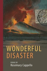bokomslag Wonderful Disaster