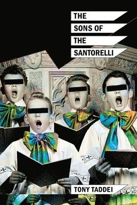 bokomslag Sons of the Santorelli