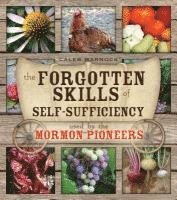 bokomslag Forgotten Skills of Self-Sufficiency