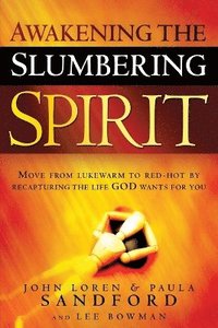 bokomslag Awakening the Slumbering Spirit