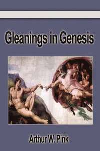 bokomslag Gleanings In Genesis