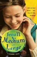 Joanne Levy - Levy, J: Small Medium at Large, Inbunden