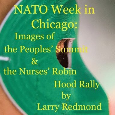 bokomslag NATO Week in Chicago