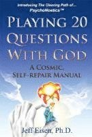 Playing 20 Questions with God: A Cosmic Self-Repair Manual