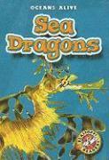 bokomslag Sea Dragons