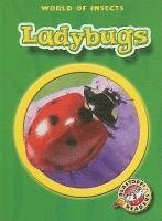 bokomslag Ladybugs