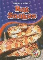 Colleen Sexton - Rat Snakes, Inbunden