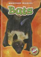 Kari Schuetz - Bats, Inbunden