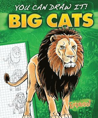 Big Cats 1