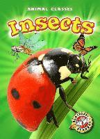 bokomslag Insects