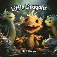 bokomslag Little Dragons