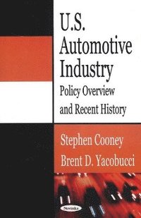 bokomslag U.S. Automotive Industry