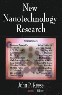 bokomslag New Nanotechnology Research