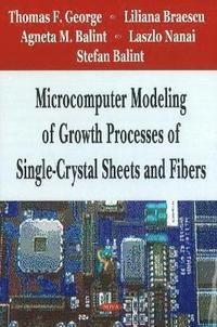 bokomslag Microcomputer Modeling of Growth Processes of Single-Crystal Sheets & Fibers