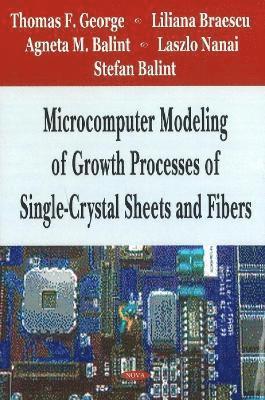 bokomslag Microcomputer Modeling of Growth Processes of Single-Crystal Sheets & Fibers