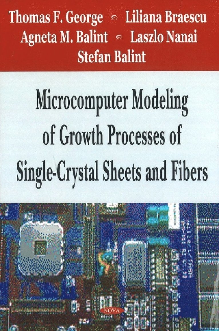 Thomas F Goerge, Liliana Braescu, Agneta M Balint, Laszlo Nanai, Stefan Balint - Microcomputer Modeling of Growth Processes of Single-Crystal Sheets & Fibers, Inbunden
