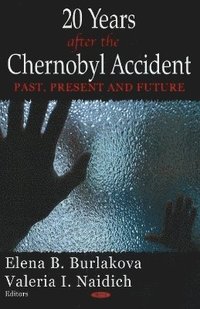 bokomslag 20 Years After the Chernobyl Accident