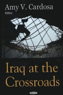 bokomslag Iraq at the Crossroads